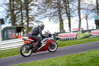 Lower Group Red Bikes